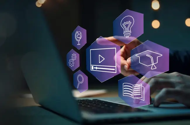 Live Project Internship